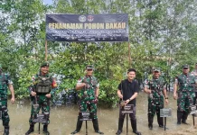 Danrem dan Dandim Tanam Mangrove, Lepas Tukik di Temajuk