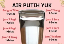 Cara Minum Air Putih yang Tepat