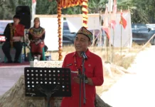 Roming Ompuk Domauk Panu Diresmikan, Jadi Simbol Pelestarian Budaya Dayak
