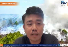 Kerusakan Gambut Picu Karhutla Berulang di Kalbar