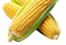 Manfaat Luar Biasa Buah Jagung bagi Kesehatan, Salah Satunya Menjaga Mata