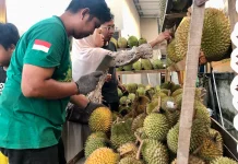 Bazar Durian BK Hadirkan Garansi Tukar Baru