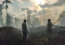 8 Hektare Lahan di Rasau Jaya Terbakar, Polisi Selidiki