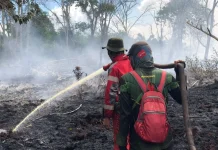 Api Karhutla Dekati Permukiman, Tim Gabungan Intensif Lakukan Pemadaman