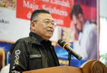 Cornelis Desak Penguatan Keuangan PLN dan Percepatan Listrik Desa