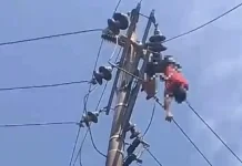 Pria Diduga Hendak Curi Kabel PLN Malah Tersetrum di Tiang Listrik