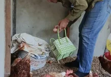 Desa Sungai Enau Jadi Model Penanganan Stunting