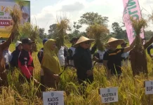 Kebutuhan Petani Jadi Perhatian, Sujiwo Siapkan Bantuan Tepat Sasaran