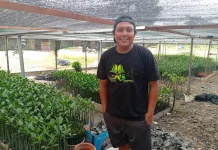 Pokdarwis MMP Rehabilitasi Mangrove Membentuk Daratan menuju Pulau Penibung