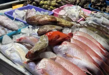Kenali Manfaat Konsumsi Ikan Laut Segar dan Cara Memilih yang Berkualitas