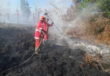 Manggala Agni Perkuat Deteksi Dini Cegah Asap Ganggu Bandara