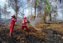 Manggala Agni Padamkan Sekitar 15 Hektare Karhutla di Kubu Raya