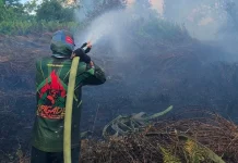 Lahan Gambut Hambat Pemadaman Karhutla di Rasau Jaya