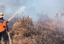Karhutla Dekat SMA 4 Sungai Raya Belum Padam, Ganggu Aktivitas Belajar