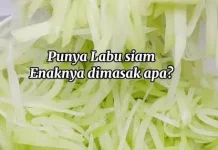 Resep Olahan Labu Siam dan Khasiatnya untuk Kesehatan