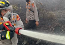 Kebakaran Gambut Kubu Raya Ancam Sekolah dan Permukiman Warga