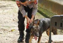 Polres Bengkayang Terima Anjing K-9 Pelacak Narkotika
