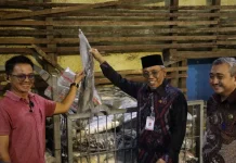 Satgas Ketahanan Pangan Pastikan Ketersediaan Stok Aman dan Distribusi Lancar