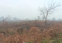 Angin Kencang Perparah Karhutla di Kawasan SMA Negeri 4 Sungai Raya