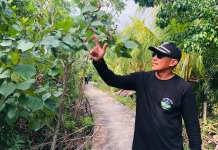 Desa Medan Mas Konsisten Jaga Kawasan Mangrove hingga Pukau Wisatawan dari Afrika