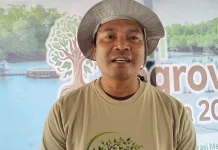 DLH Kalbar Prioritaskan Perlindungan Mangrove Demi Ketahanan Pesisir