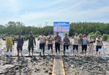 Dukung Rehabilitasi Mangrove Kubu Raya Pertamina Tanam 10.000 Bibit