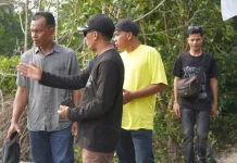 Medan Mas Kembangkan Ekowisata Berbasis Pelestarian Mangrove