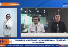 Pemulihan Mangrove Kalbar Diutamakan untuk Pulihkan Kawasan Terdampak