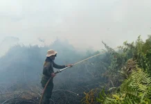 Api Karhutla di Arang Limbung Berhasil Diputus, Pemadaman Terkendala Air
