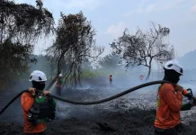 Tim SAR Polda Kalbar Padamkan Karhutla Dekat Kantor Dinas di Kubu Raya
