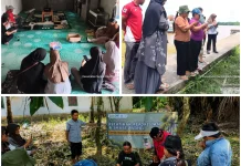 PT GAN BUMATerra Latih Reforestasi SMART Patrol LPHD Lanskap Delta Kapuas