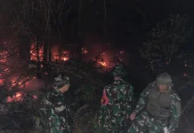 Karhutla 10 Hektare di Sanggau Padam, Tim Gabungan Berjibaku 9 Jam
