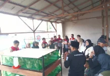 Pekarangan Produktif Warga Pontianak Utara Tumbuhkan Pangan Berkelanjutan