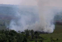 Satgas Udara Konsentrasi Pemadaman Karhutla di Tiga Kabupaten di Kalbar