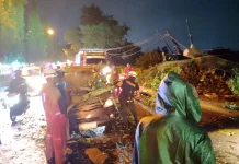 Pohon Tumbang Timpa Minibus di Arteri Supadio