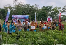 Panen Cabai di Kuala Mandor B, Langkah Nyata Kubu Raya Kendalikan Inflasi Pangan