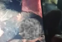 Karhutla di Ketapang Renggut Satu Korban Jiwa