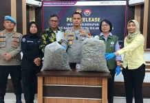 Polresta Pontianak Ungkap Kasus Perdagangan Ratusan Kilogram Sisik Trenggiling