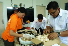 Petugas Gagalkan Dugaan Penyelundupan 1.286 Telur Penyu di Sambas