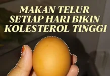 Makan Telur Setiap Hari Mitos atau Fakta