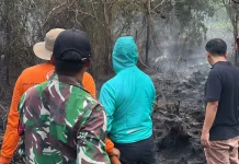 Terdampak Asap, Wako Edi Imbau Warga Kurangi Aktivitas Luar Ruangan