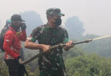 Dandim Ketapang Pimpin Pemadaman Karhutla di Sungai Pelang