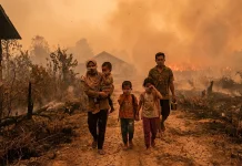 Menjaga Nafas Masa Depan: Memahami Risiko Partikel Sisa Pembakaran bagi Paru-Paru