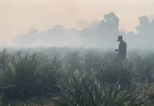 Menakar Kasus Karhutla Kalbar dengan Pendekatan New Ecological Paradigm