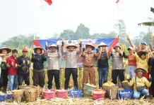 Lahan Eks-PETI di Bengkayang Hasilkan 5 Ton Jagung