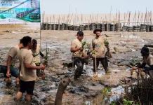 Geo Mangrove B5 Jadi Inovasi Pemecah Ombak Sungai Kupah