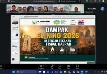 Bencana El Nino Godzila di tengah Tekanan Fiskal Daerah