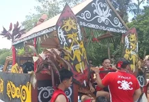 Suku Dayak: Sejarah, Struktur Adat, Tembawang, Filosofi Hidup dan Dukungan Riset
