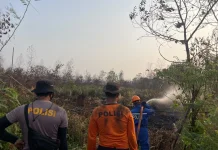 94 Titik Api Terdeteksi, Petugas Perkuat Penanganan Karhutla