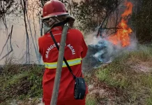 Kemenhut KERAHKAN 12.880 Personel Gabungan untuk Tangani Karhutla di Kalimantan